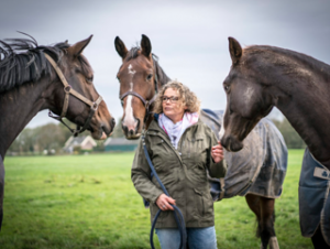 talentonwikkeling bramascoaching