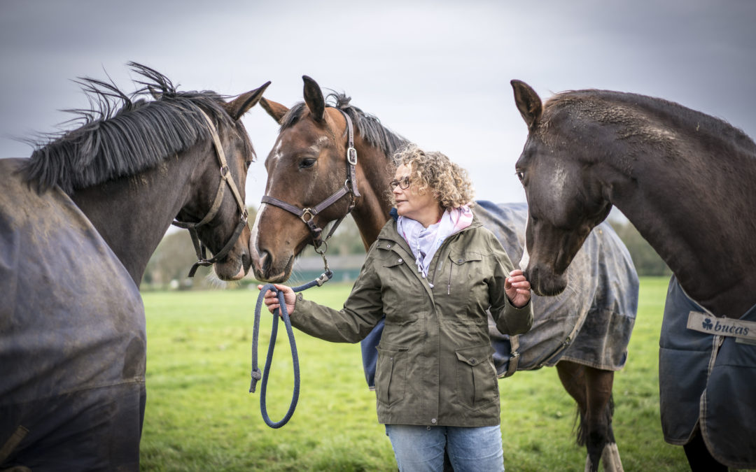 Een paard oordeelt niet